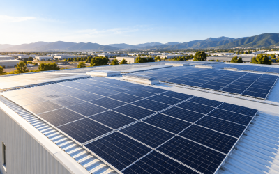 ¿Cómo funciona un PPA solar para empresas?