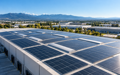 ¿Qué empresas pueden contratar un PPA solar?
